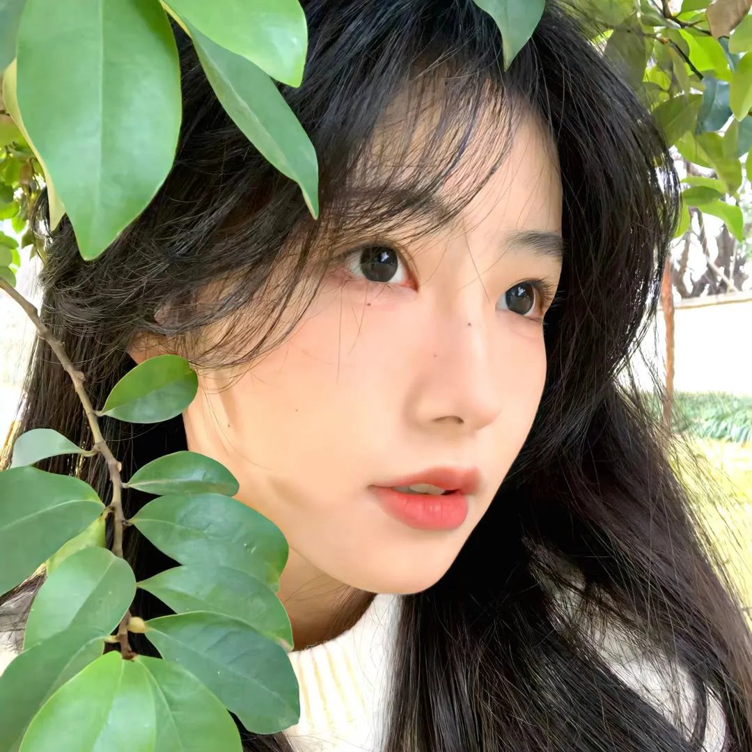 光杆司令